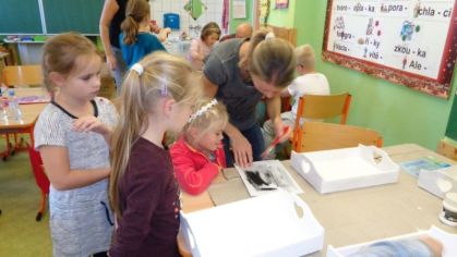 Fotografie 1572428603568_original.jpg