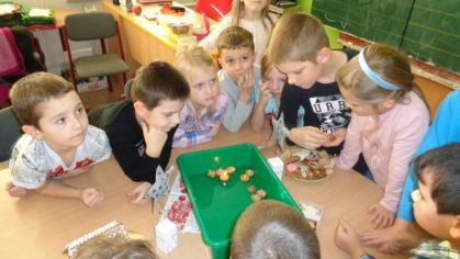 Fotografie 1576842318387_original.jpg