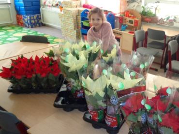 Foto k aktualitě Vánoční hvězda