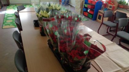 Fotografie 1575984427846_original.jpg