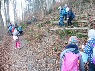 Fotografie 1576839079680_1_original.jpg