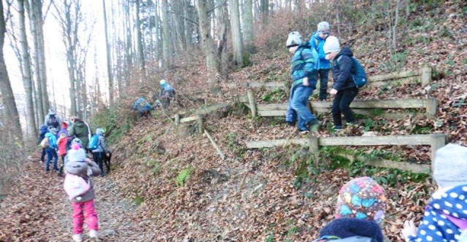 Vánoční nadílka pro zvířátka