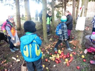 Fotografie 1576839080085_original.jpg