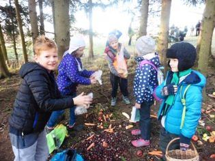 Fotografie 1576839080297_original.jpg