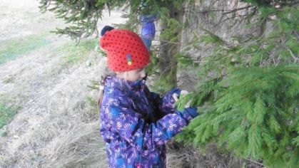 Fotografie 1576839249409_original.jpg