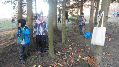 Fotografie 1576839285692_original.jpg