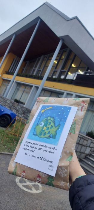 Fotografie 1608630760911_original.jpg