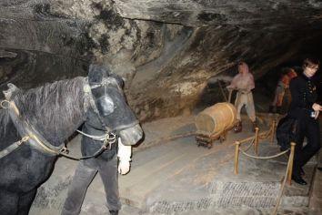 Fotografie 1575982978965_original.jpg