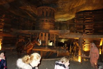 Fotografie 1575982981493_original.jpg