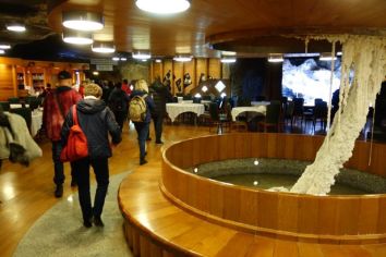 Fotografie 1575983408213_original.jpg