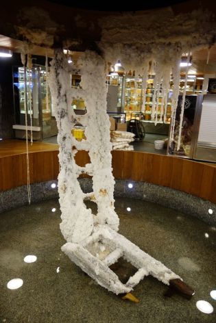 Fotografie 1575983411389_original.jpg