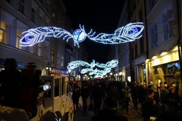 Fotografie 1575983659387_original.jpg