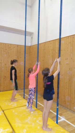 Fotografie 1581424014553_original.jpg