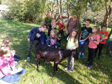 Foto k aktualitě Den zvířat