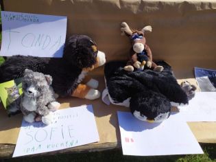 Fotografie 1633602313414_original.jpg