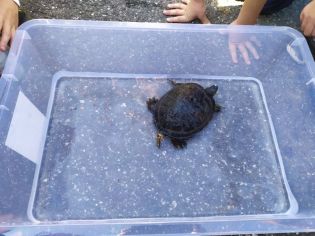 Fotografie 1633602332657_original.jpg