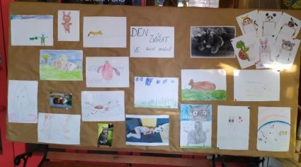 Fotografie 1633602332976_original.jpg