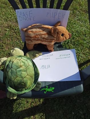 Fotografie 1633602349204_original.jpg