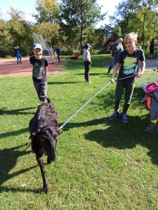 Fotografie 1633602349808_original.jpg