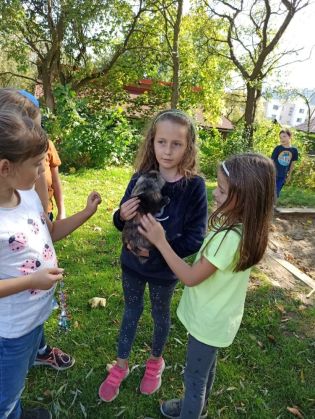 Fotografie 1633602367696_original.jpg