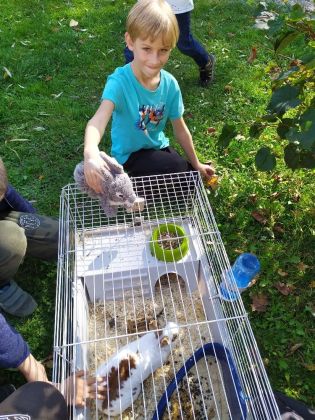 Fotografie 1633602383667_original.jpg