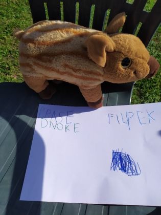 Fotografie 1633602403579_original.jpg