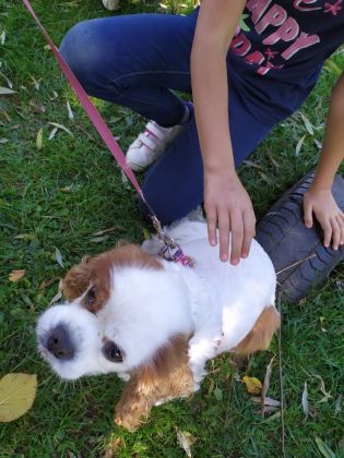 Fotografie 1633602403721_original.jpg