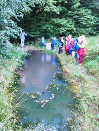 Fotografie 1631860298834_original.jpg