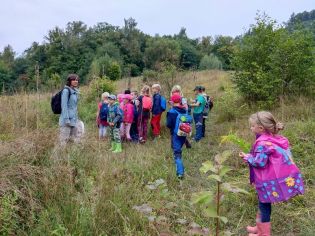 Fotografie 1631860431021_original.jpg