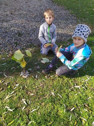 Fotografie img_20211020_125054_original.jpg