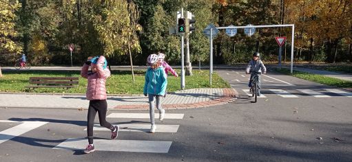 Fotografie img_20211025_102007_original.jpg