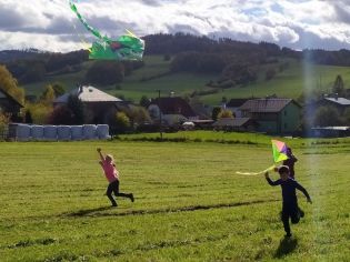 Fotografie img_20211022_134545_original.jpg