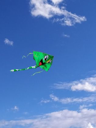 Fotografie img_20211022_134624_original.jpg