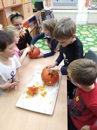 Fotografie img_20211102_132212_1_original.jpg