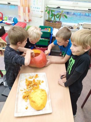 Fotografie img_20211102_132220_1_original.jpg