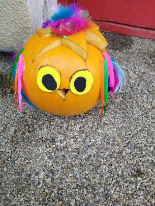 Fotografie img_20211102_141339_1_original.jpg