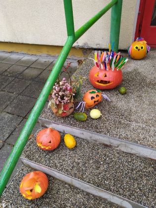 Fotografie img_20211102_141526_1_original.jpg