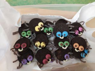 Fotografie img_20211102_093212_1_original.jpg