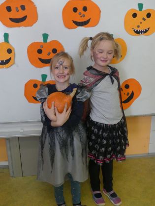 Fotografie p1160579_1_original.jpg