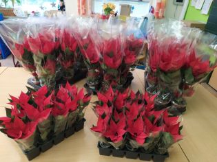 Fotografie img_20211207_120729_1_original.jpg