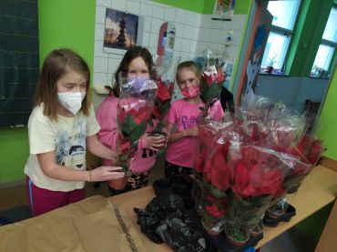 Foto k aktualitě Prodej Vánočních hvězd