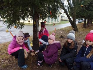 Fotografie 1639663439293_1_original.jpg