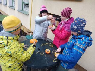 Fotografie img_20220117_131820_1_original.jpg