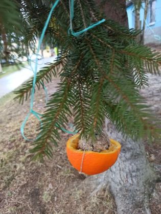 Fotografie img_20220117_132451_1_original.jpg