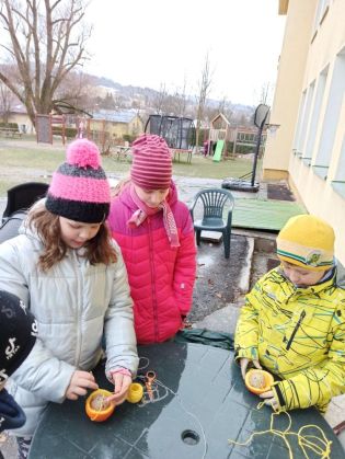 Fotografie img_20220117_132547_1_original.jpg