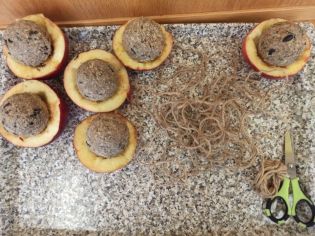 Fotografie img_20220121_123835_1_original.jpg