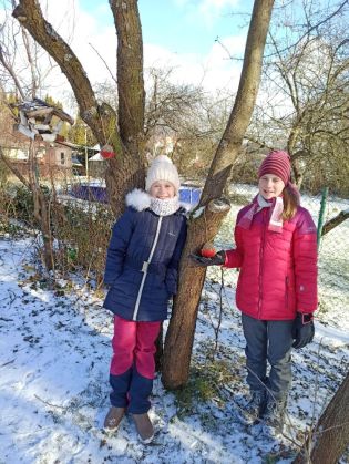 Fotografie img_20220121_135030_1_original.jpg