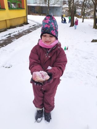 Fotografie img_20220126_1330451_1_original.jpg