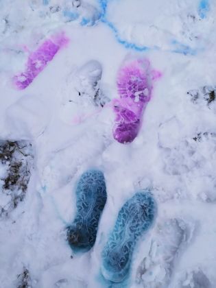 Fotografie img_20220126_133731_1_original.jpg