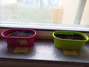 Fotografie 1645540371941_1_original.jpg